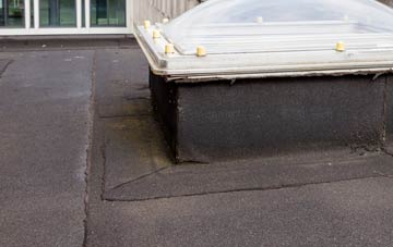 disadvantages of Pencaenewydd flat roofs